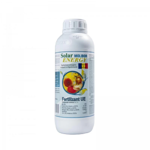 Solar Molibor Energy - 1L